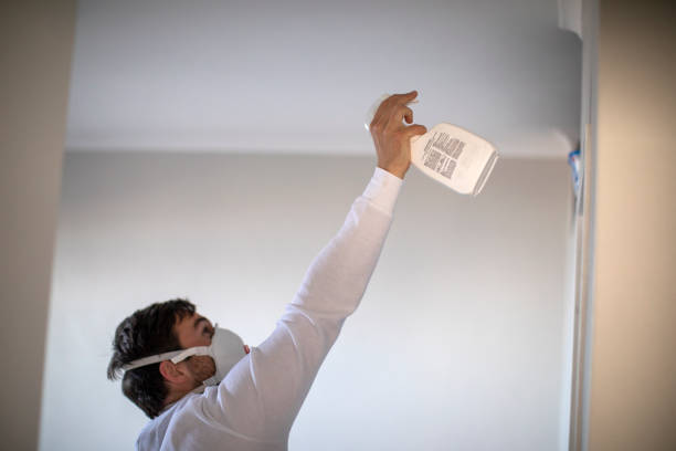 Best Residential Mold Remediation in Fremont, NE